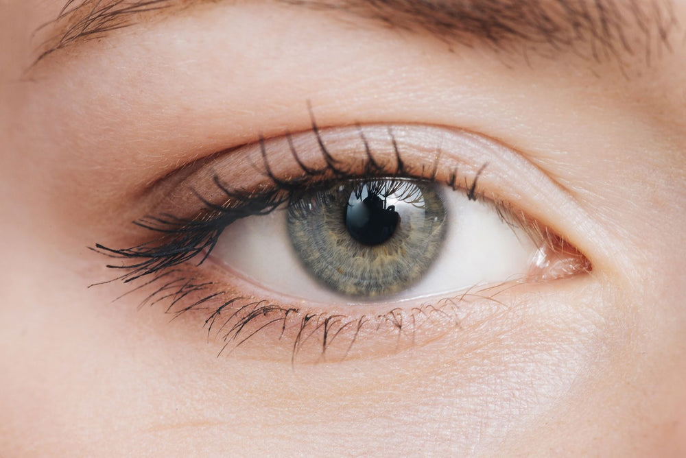 Eye